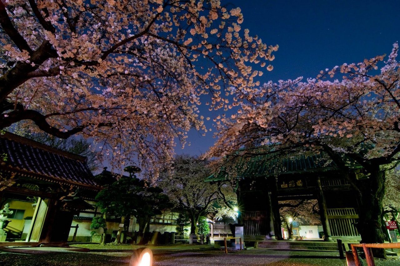 大杉神社