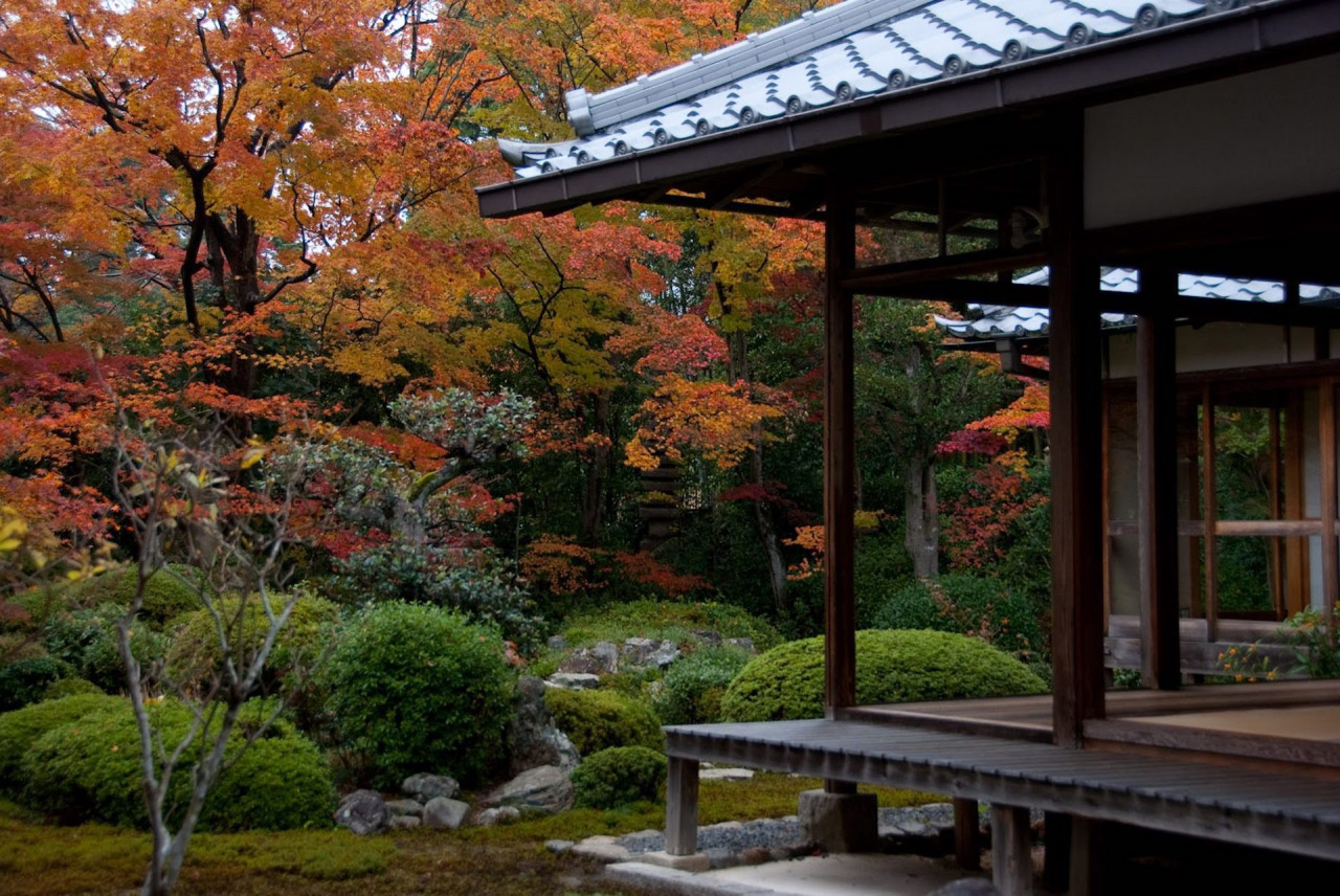 大杉神社