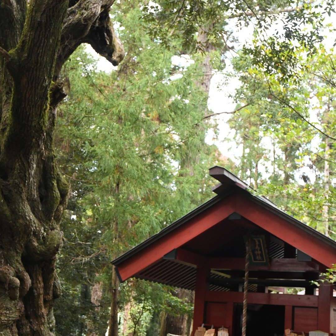 茨城 大杉 神社